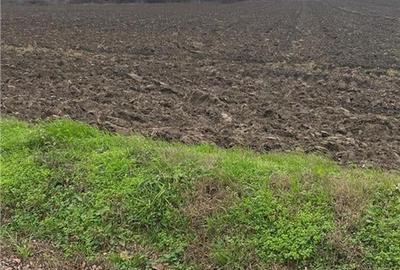 Teren agricol extravilan de 10000 mp, în Berceni - 1