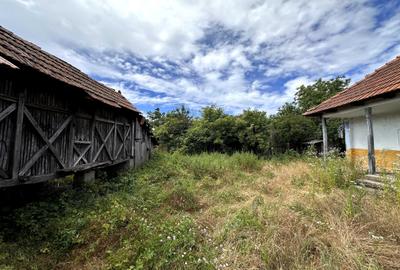 Casă cu 2 camere în Câmpu Mare