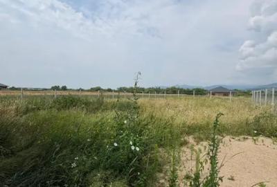Casă cu 4 camere cu Teren 700 Mp în Recea - 2