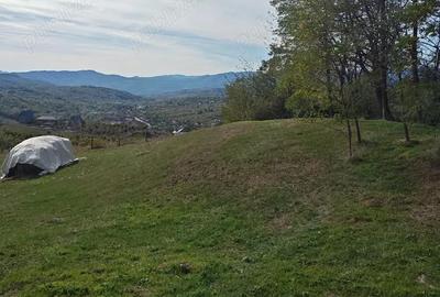 Teren de 8316 mp, în Berislăvești - 3