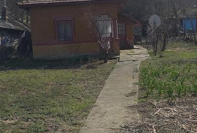 Casă cu Teren 2022 Mp în Hotarele - 2
