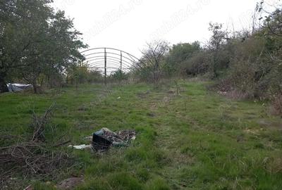 Casă cu 3 camere cu Teren 4700 Mp în Varlaam - 4