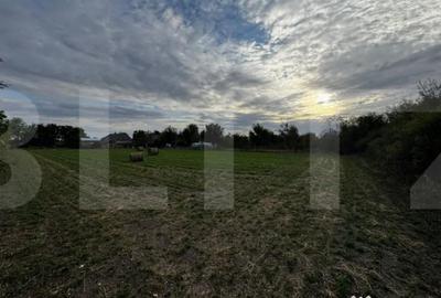 Casă cu 4 camere cu Teren 3892 Mp în Cebza - 1