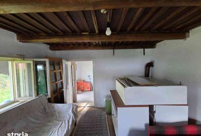 Casă cu 4 camere cu Teren 1278 Mp în Șișești - 8