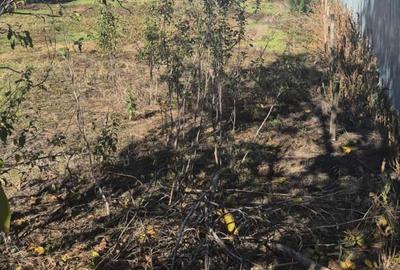 Se vinde teren intravilan – Comuna Ghimpați, Sat Ghimpați (Giurgiu) - 3