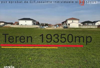 Teren de 19350 mp, în Giroc - 2