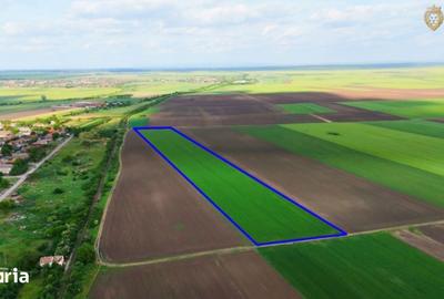 Teren de 68900 mp, în Secusigiu - 2