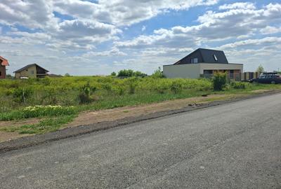 Teren Construcții intravilan de 628 mp, în Torontalului - 4