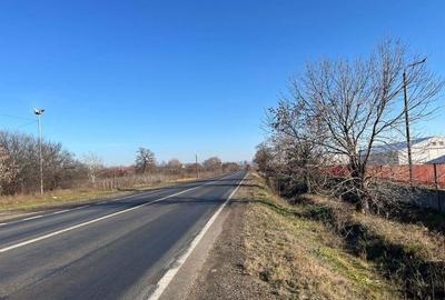 Teren de 27921 mp, în Saca - 4