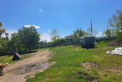 Casă cu 3 camere în Sulița - 2