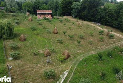 Teren de 6200 mp, în Cicănești - 10