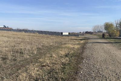 Teren intravilan 500mp, Pielesti - 2