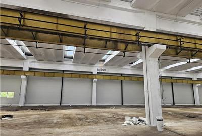 Spatiu Industrial -  6500 mp - Productie - Depozitare - 7