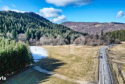 Spațiu comercial, în Brădet - 1