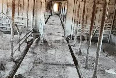 Casă cu 3 camere cu Teren 5039 Mp în Pianu - 1