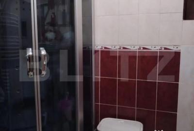 Apartament cu 3 camere decomandat în Aurel Vlaicu - 10