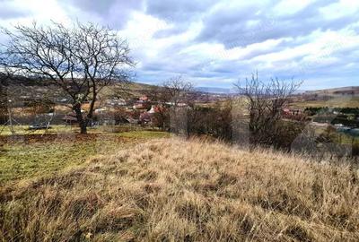 Teren de 1699 mp, în Sopor - 5