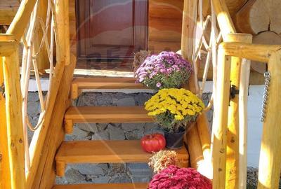 Spațiu comercial, de 240 mp, în Dârlești - 16