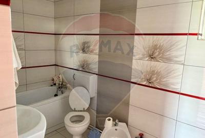 Casă individuală cu 5 camere cu Teren 300 Mp în Ocna Șugatag - 15