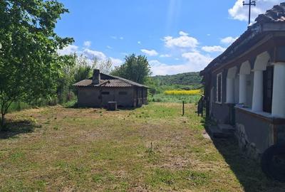 Casă cu 2 camere în Palanga - 2