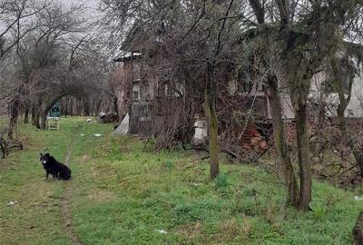 Teren în Călinești - 1