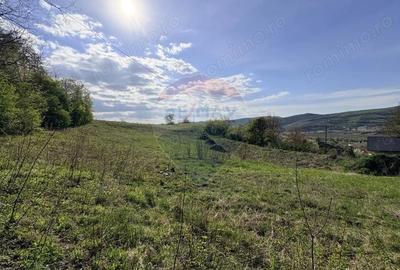 Teren de 15320 mp, în Central - 2