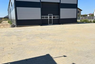 Hala 600mp depozitare/ productie  Teren 1800mp Joita - 2