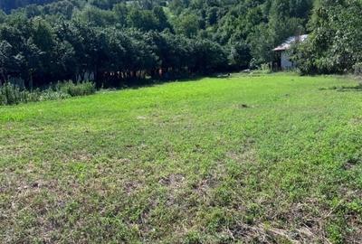 Teren Construcții intravilan de 3026 mp, în Gârcina - 3