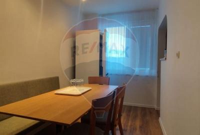 Apartament spatios de vanzare in zona turistica - Sinteu, Bihor - 8