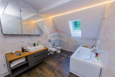 Casa de vis in Loc. Intrerauri - 8