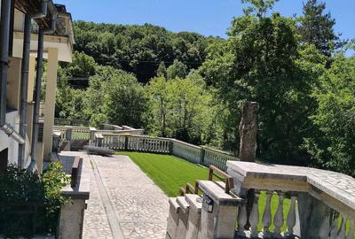 Casă cu 3 camere cu Teren 1600 Mp în Bascov - 6