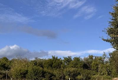 Casă cu 4 camere în Cochirleni - 6