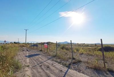 Teren  si lac in Harman - 5