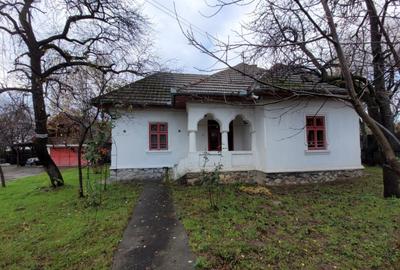 Casa tradi?ionala, in centrul satului Polovragi - 1