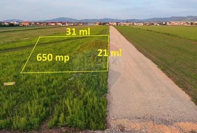 Teren 641mp Sacele|Raza Soarelui / Strada Saturn - 1