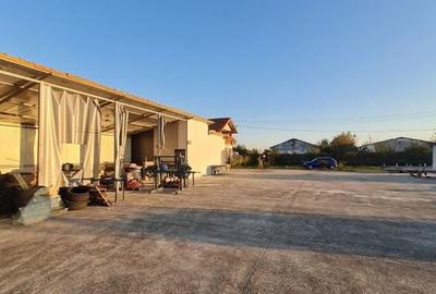 Casa cu teren de 14340 mp în Jebel/Pretabila pentru afacere - 6