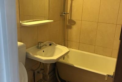 Drumul Taberei - Prelungirea Ghencea - Raul Doamnei - 4