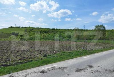 Teren 31 ari, zona linistita - 2