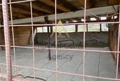 Teren de 5000 mp, în Agăș - 15