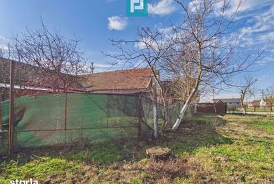 Spațiu comercial, de 225 mp, în Sânandrei - 13