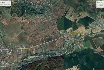 Teren de 10000 mp, în Timișești - 3