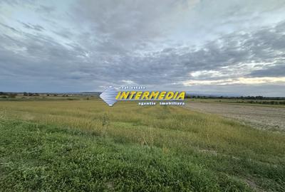 Teren Construcții intravilan de 2300 mp, în Mereteu - 2