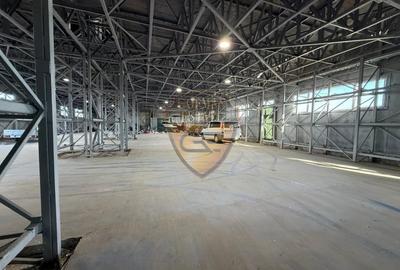 HALA DEPOZITARE P+1 800mp utili nivel,  Zona Industriala a CT grup sanitar, AC - 7