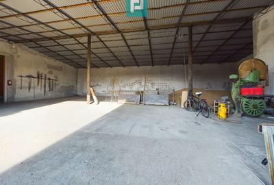 Casă individuală cu 3 camere cu Teren 1363 Mp în Periam - 5