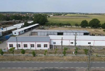 Hale depozitare/produc?ie 2.000 mp si 10.000 mp teren in Pecica - 7