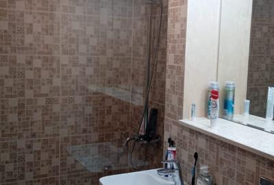 Apartament cu 2 camere decomandat, mobilat în City Park Mall - 9