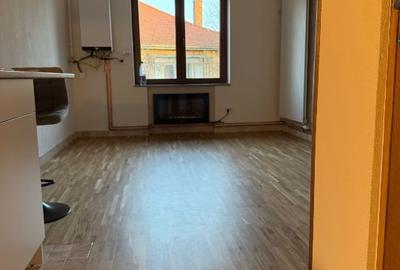 Studio la poalele Cetatii Devei - 3