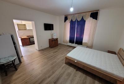 Garsonieră semidecomandată, mobilată în Iosefin - 7