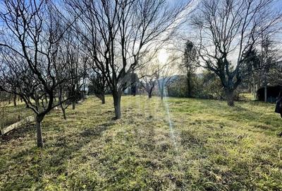 Teren intravilan 1.915 mp + cabana din lemn | Tocile Sadu - 2