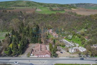 Oportunitate! Teren intravilan, 25.098mp, fostul Complex Turistic Baile Baita - 4
